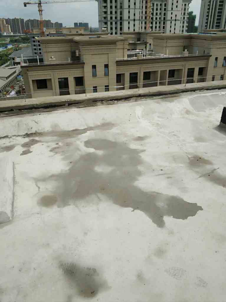 华盛南园-楼面屋顶防水修复