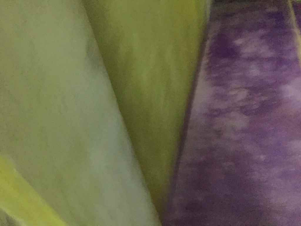 西山林语-黄墙紫地/全景放样-山水装饰