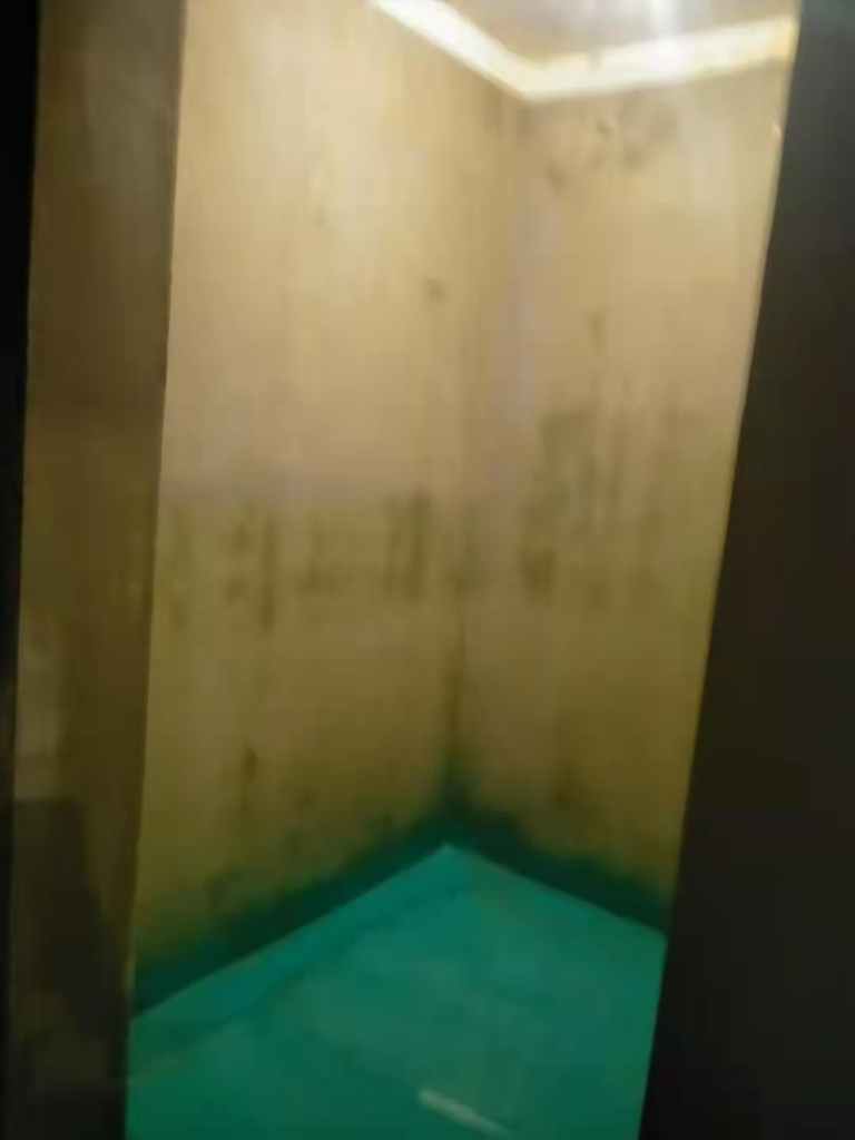 信达公园里-黄墙绿地/成品保护-飞墨设计