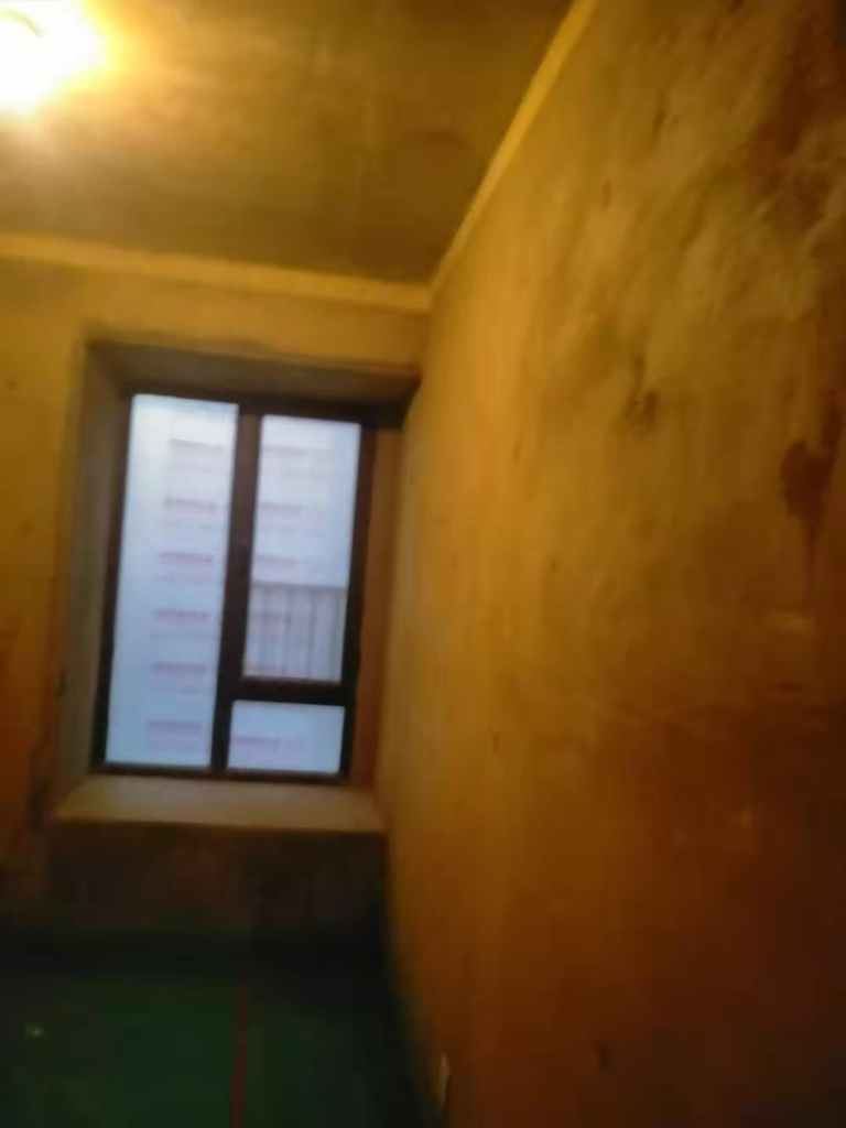 中海滨湖公馆-黄墙绿地/3D全景放样/成品保护-金艺堂装饰