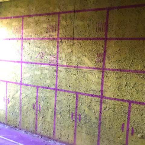 山湖苑东区-黄墙紫地/3D全景放样-山水装饰